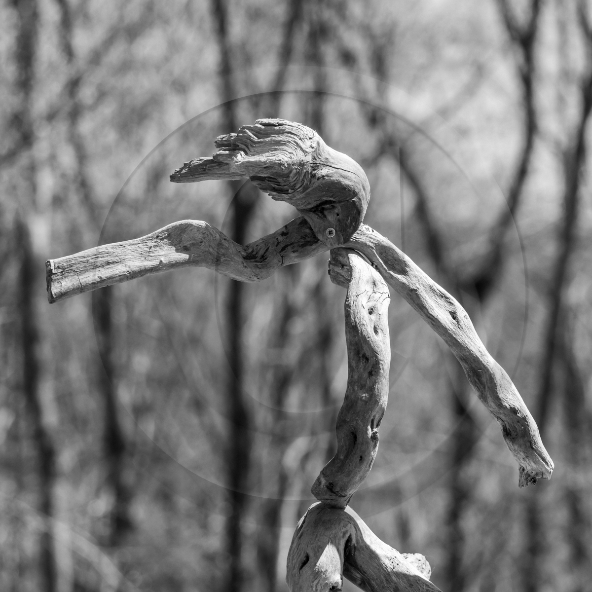 Atelier laine et promenade au jardin Atelier laine et promenade au jardin