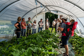 Légumontagne : maraichage biologique à Ancelle