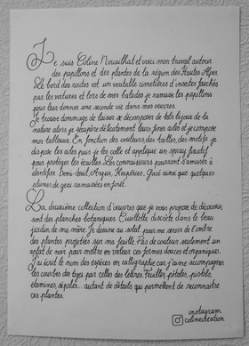 02 avril 2025 : c'est la reprise à l'Ouort