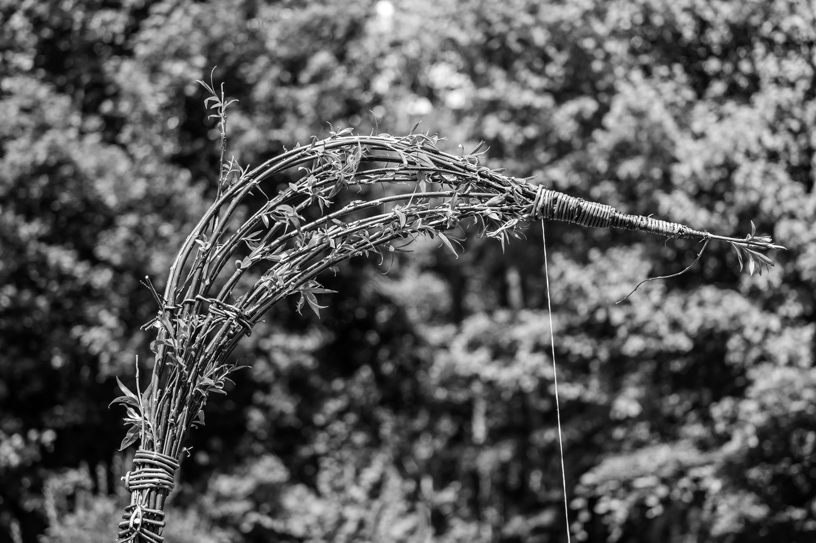 28 mai 2025 : Jeux, Osier, Photos, Jardinage...