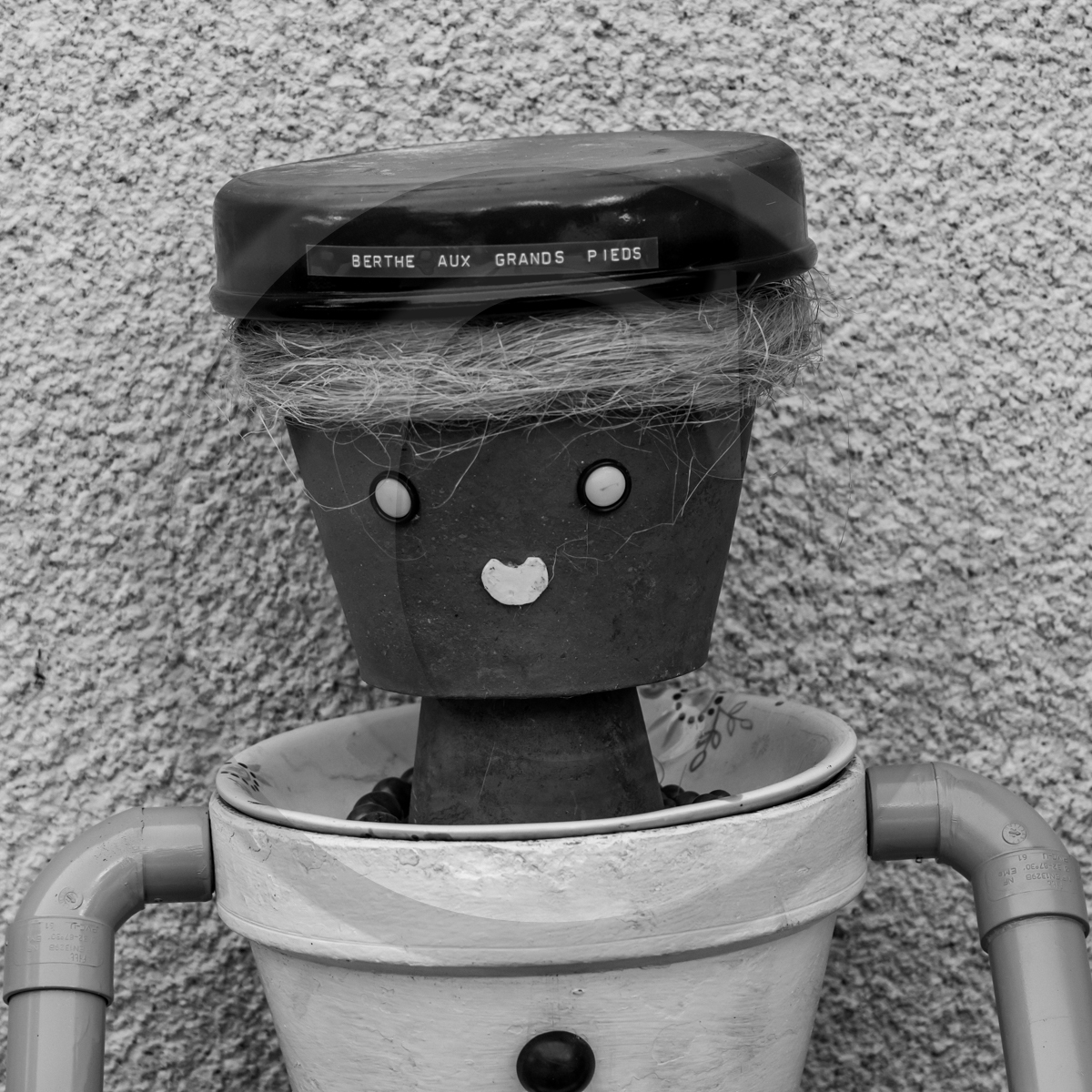 29 juin 2022 : Découverte des plantes sauvages 29 juin 2022 : Découverte des plantes sauvages