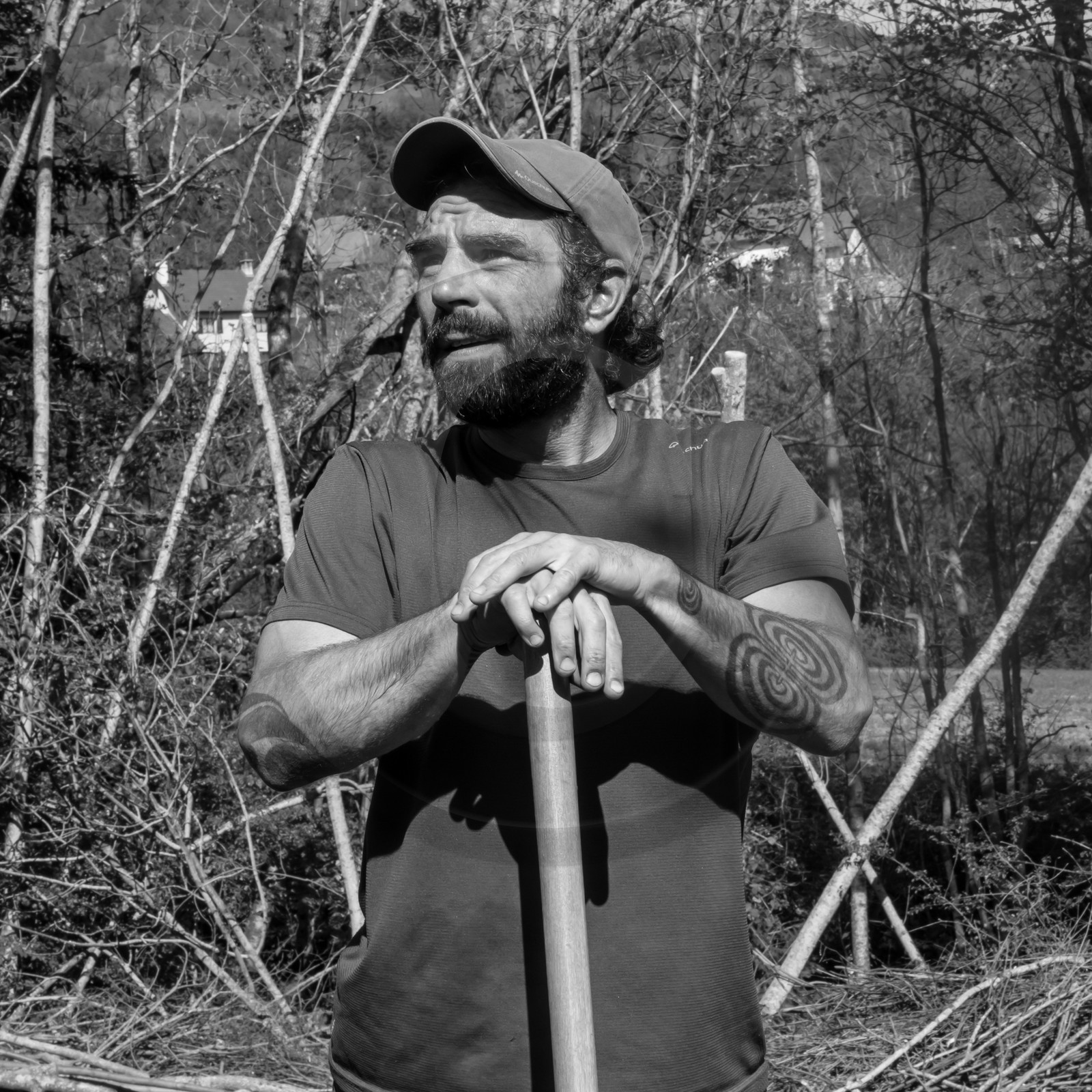 31 mai 2017 - Jardinage 31 mai 2017 - Jardinage