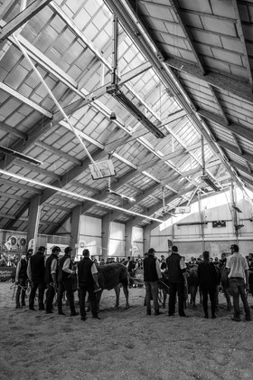 Rencontres paysannes à Saint-Bonnet en Champsaur