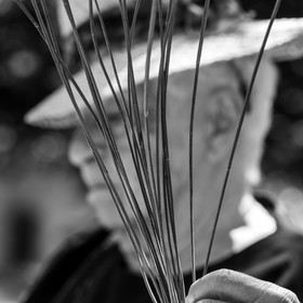 Atelier Fuseaux de lavande