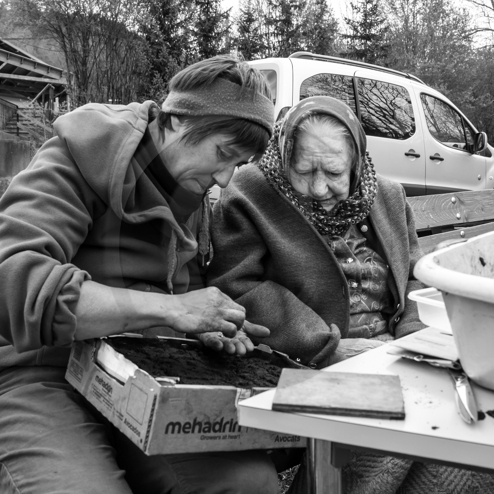 03 mai 2017 - Bac, semis et plantations 03 mai 2017 - Bac, semis et plantations