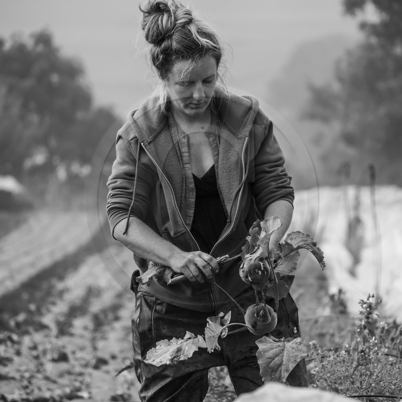 Maraichage biologique dans le Champsaur