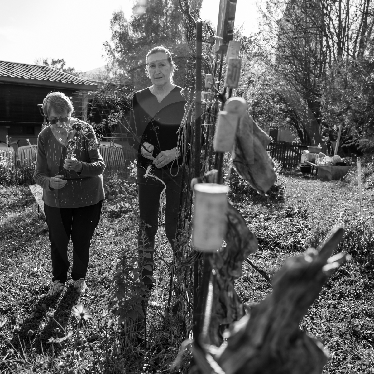 26 octobre 2022 : dernier mercredi de la saison à l'Ouort 26 octobre 2022 : dernier mercredi de la saison à l'Ouort