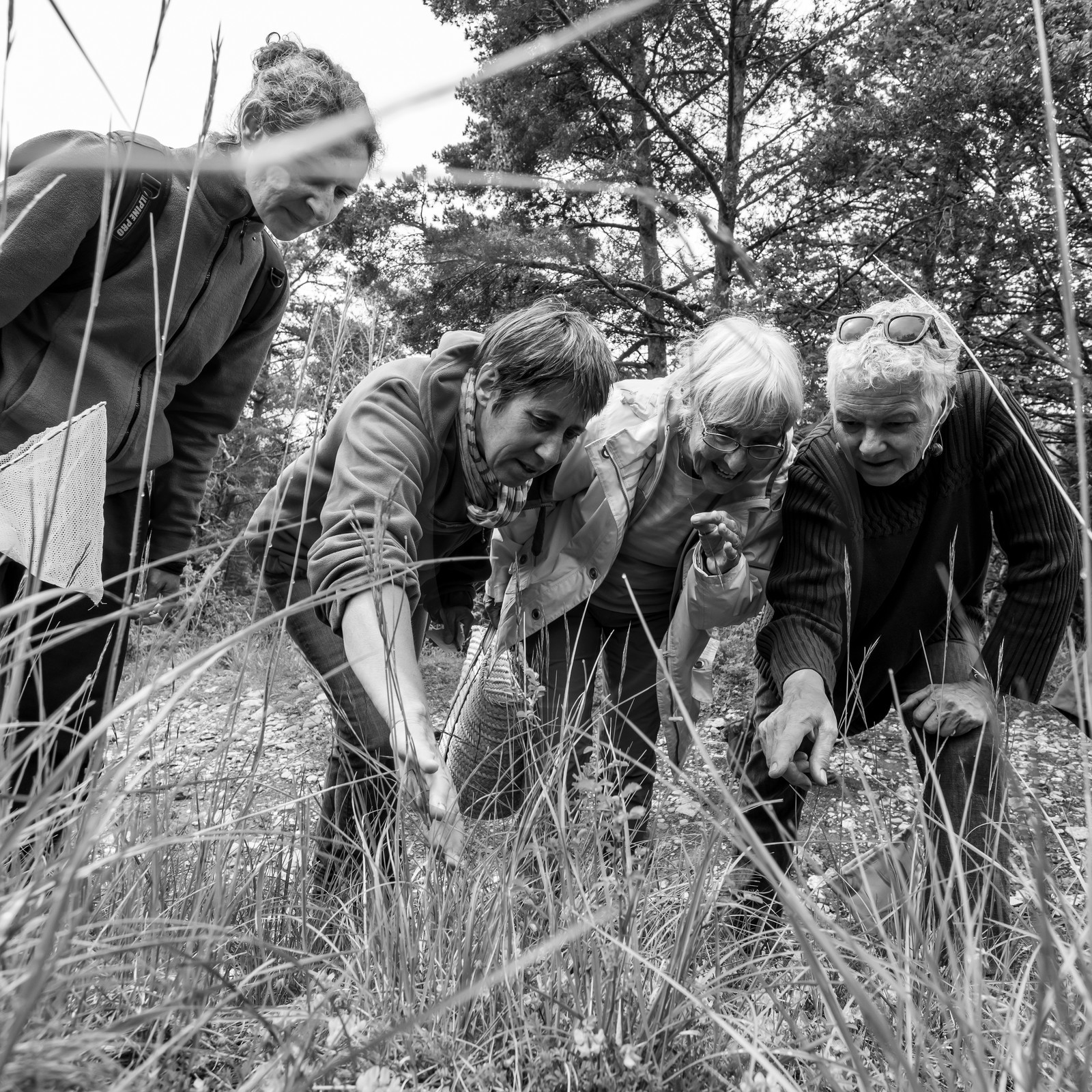 Atelier Buissonnier Atelier Buissonnier