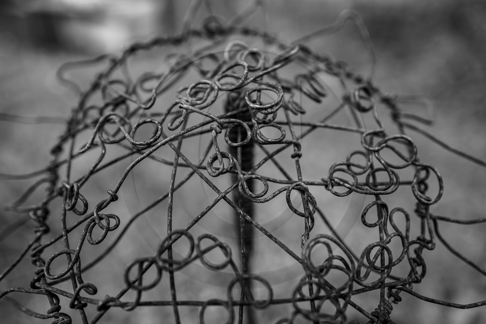 05 juin 2023 : journée des aidants et des aidés