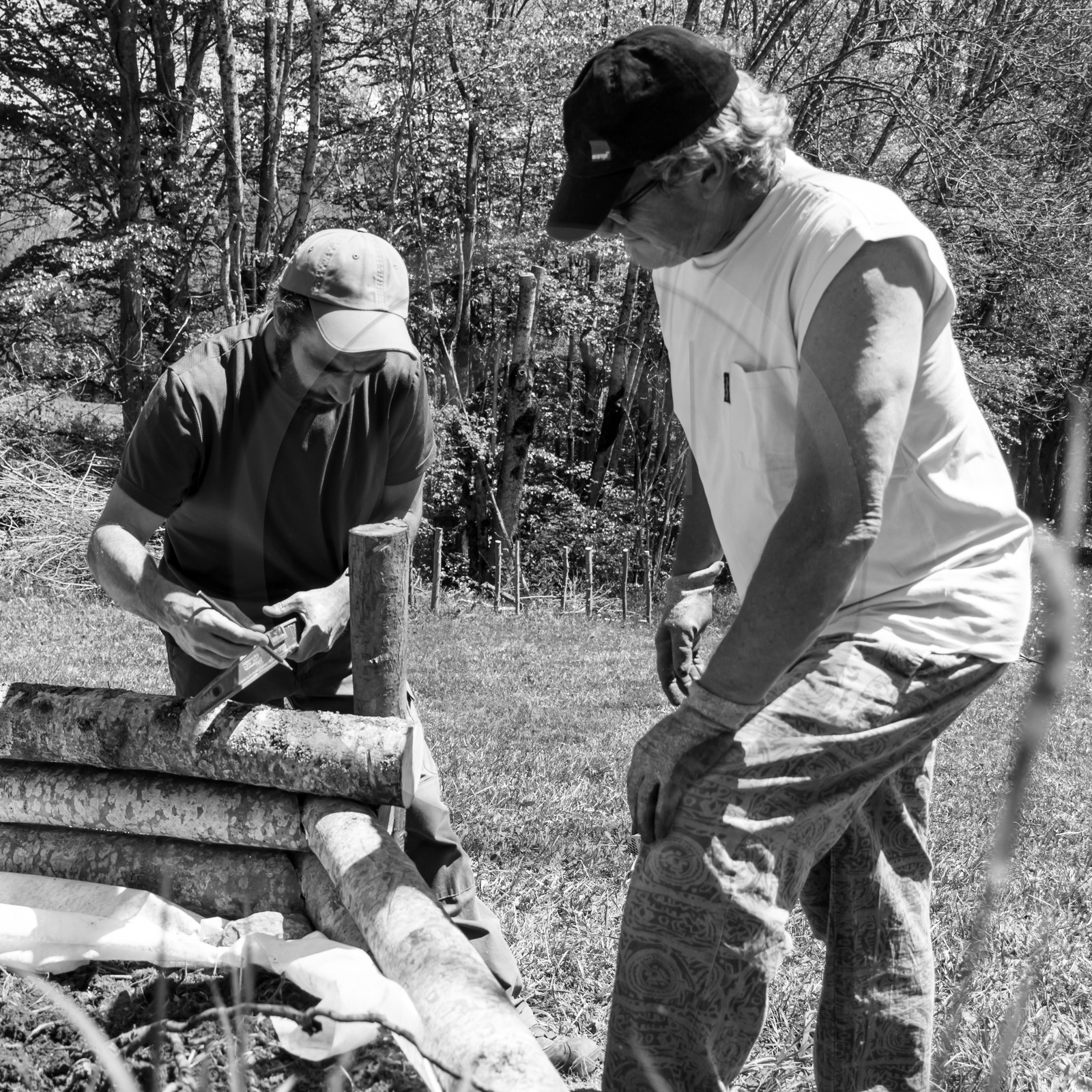 31 mai 2017 - Jardinage