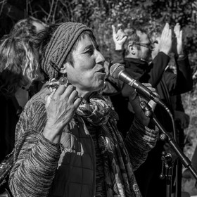 26 octobre 2025 : Les oiseaux de trottoir