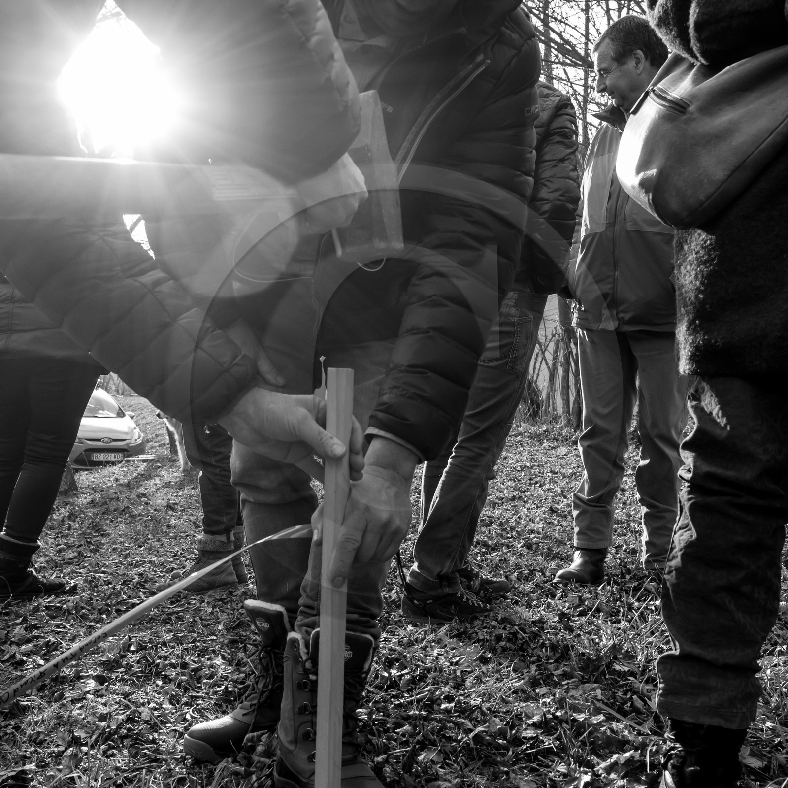 Découverte du jardin le 03 01 2017