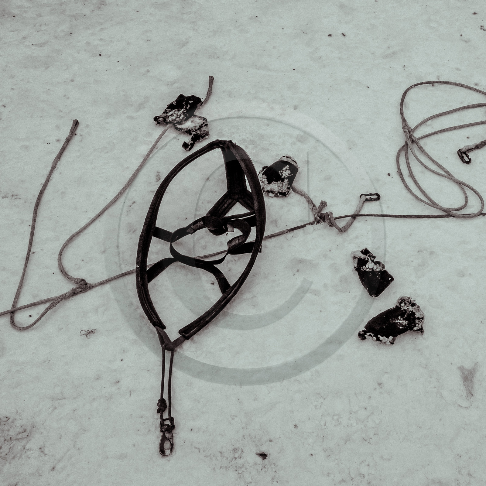 La Valgaude Traineau 2015