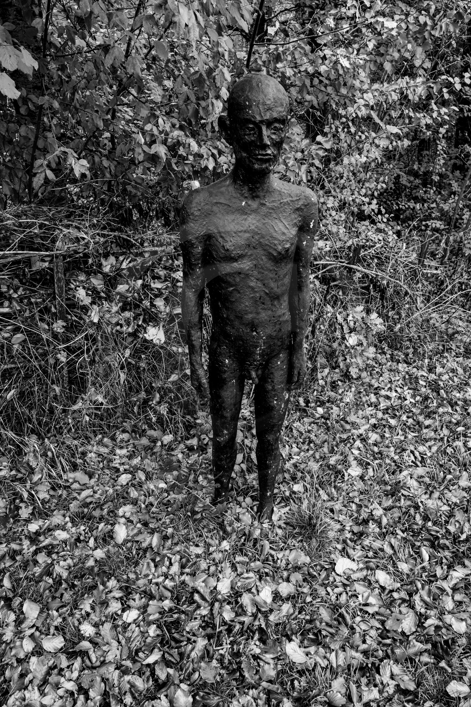 Exposition La forêt d'hommes, une création de Barbara Fougnon, artiste plasticienne Exposition La forêt d'hommes, une création de Barbara Fougnon, artiste plasticienne