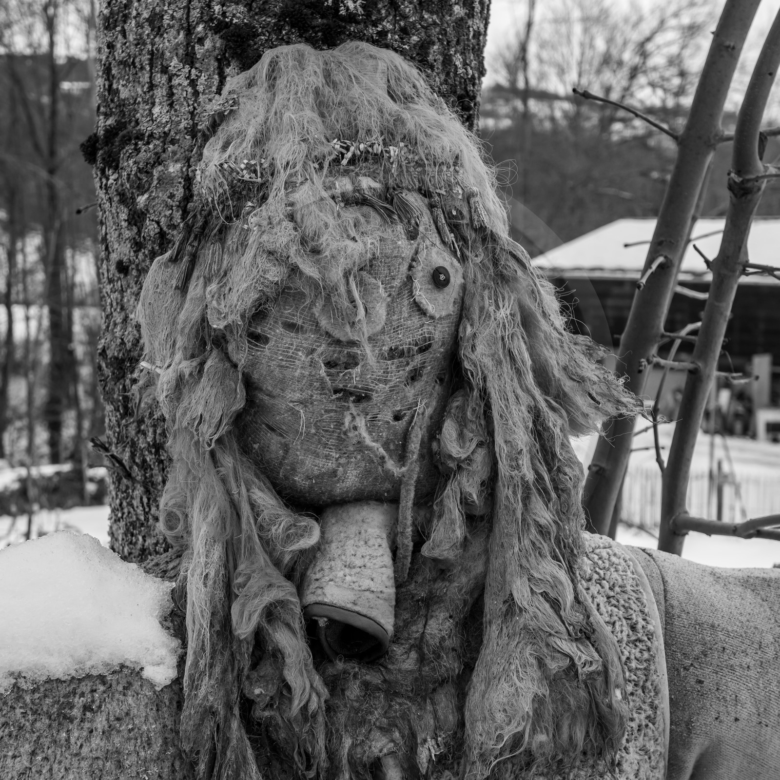 21 janvier 2021 : l'Ouort sous la neige 21 janvier 2021 : l'Ouort sous la neige
