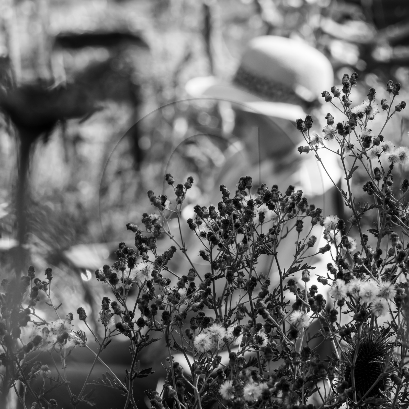 Séance de sophrologie à l'Ouort de Benevènt le 08 10 2020
