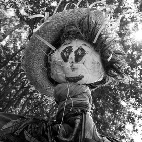 23 août 2017 - Animations