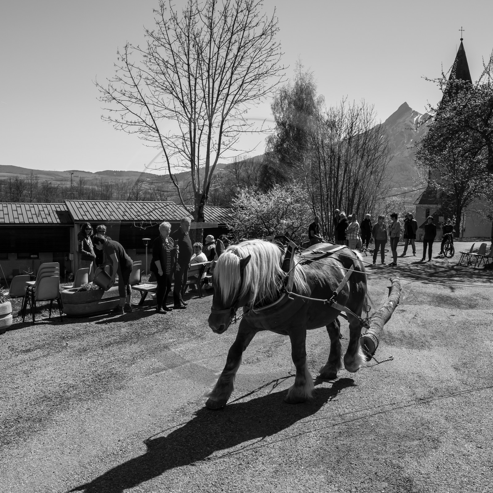 L'Ouort de Bénévent - 17 avril 2017