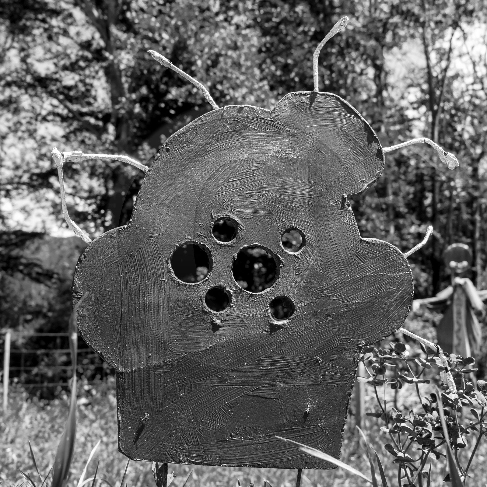 12 juin 2019 : Après-midi au jardin