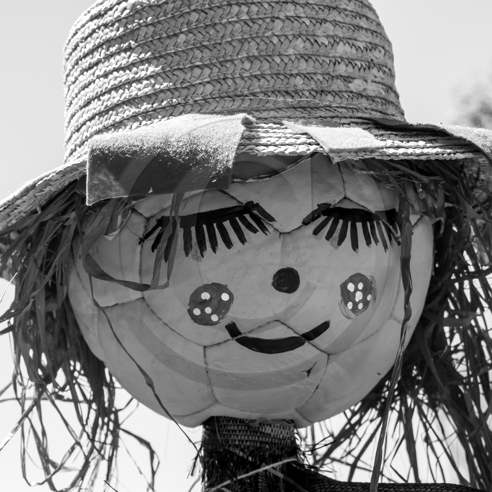 05 juillet 2017 - Installation épouvantails 05 juillet 2017 - Installation épouvantails