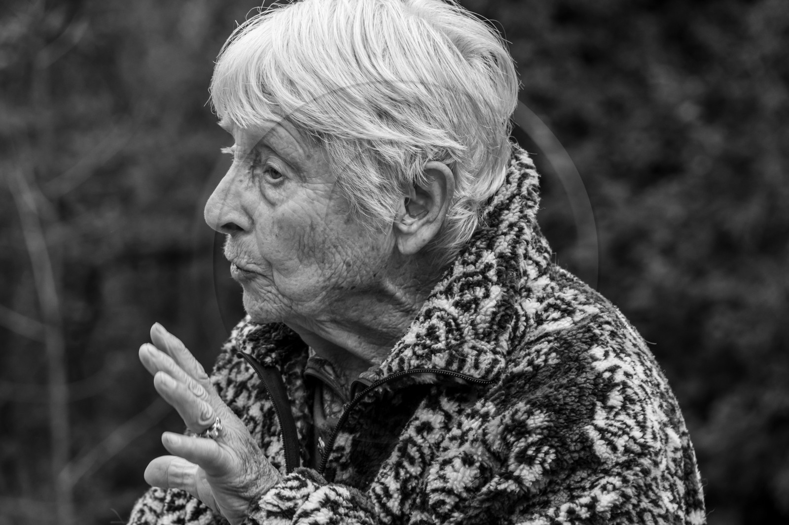 27 octobre 2024 : Contes avec Gilles Bougère