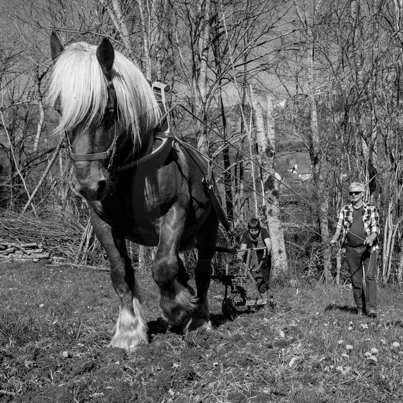 L'Ouort de Bénévent - 17 avril 2017