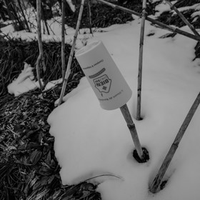 21 janvier 2021 : l'Ouort sous la neige