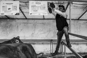 Rencontres paysannes à Saint-Bonnet en Champsaur