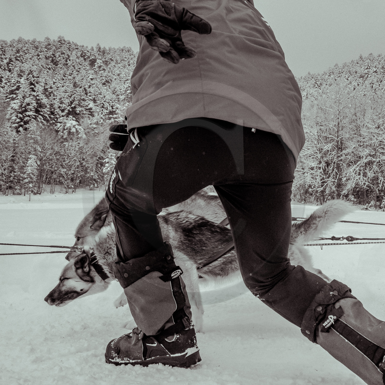 La Valgaude Traineau 2015