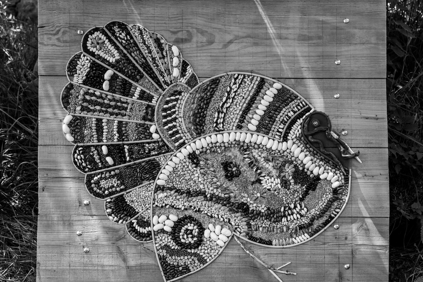 25 juin 2025 : Théâtre Reflet