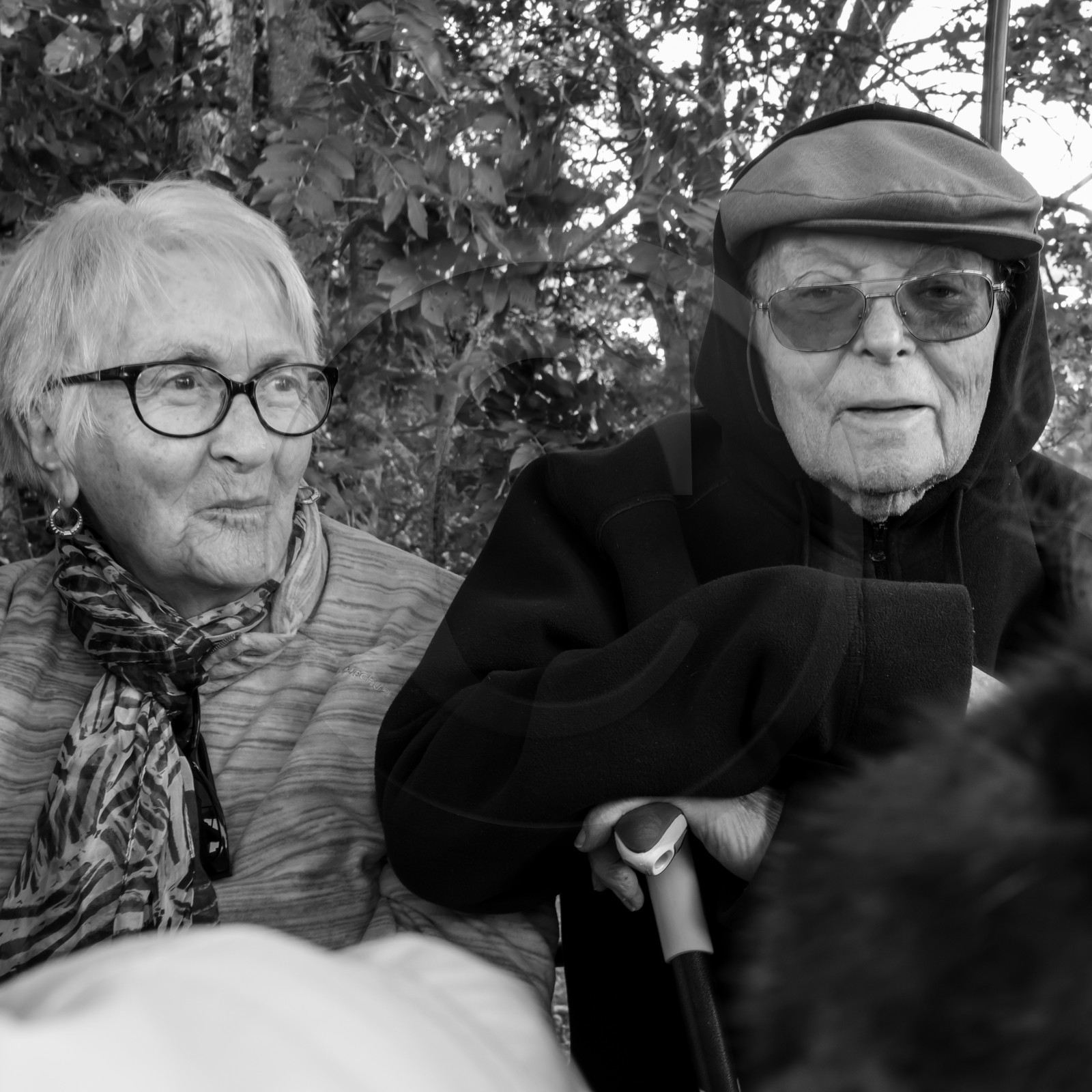25 septembre 2019 : Promenade en calèche 25 septembre 2019 : Promenade en calèche