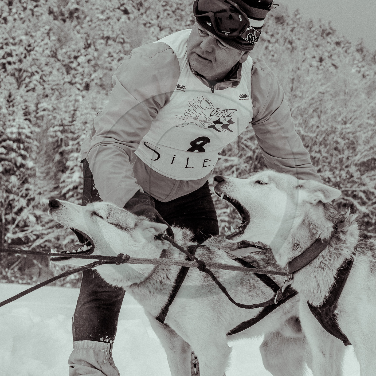 La Valgaude Traineau 2015