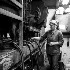 La ferme de Coste Joffre