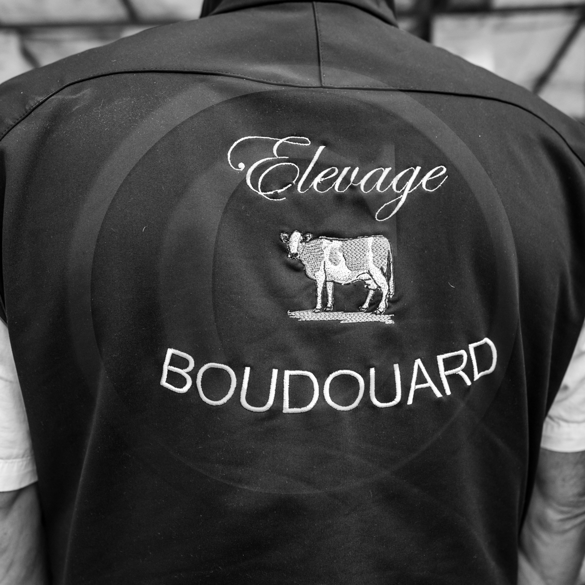 Rencontres paysannes à Saint-Bonnet en Champsaur