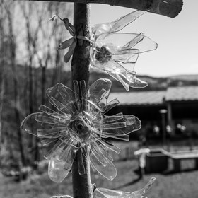 20 mars 2018 : une après-midi au jardin