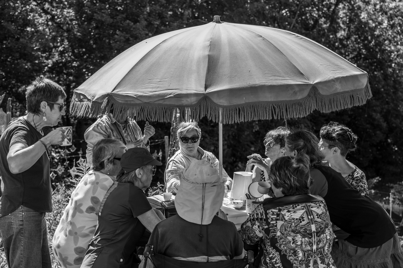 06 juin 2025 : Journée des aidants