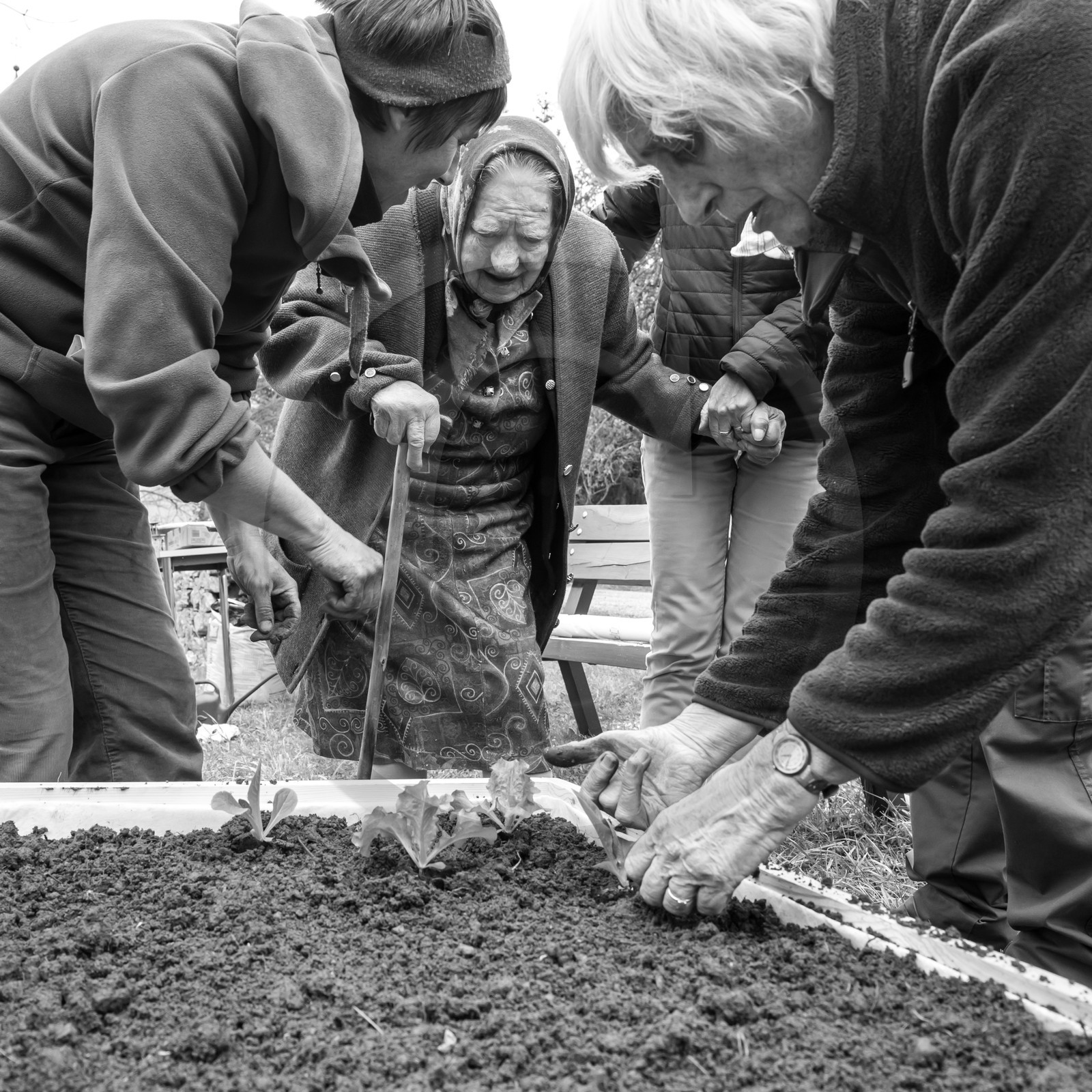 03 mai 2017 - Bac, semis et plantations 03 mai 2017 - Bac, semis et plantations