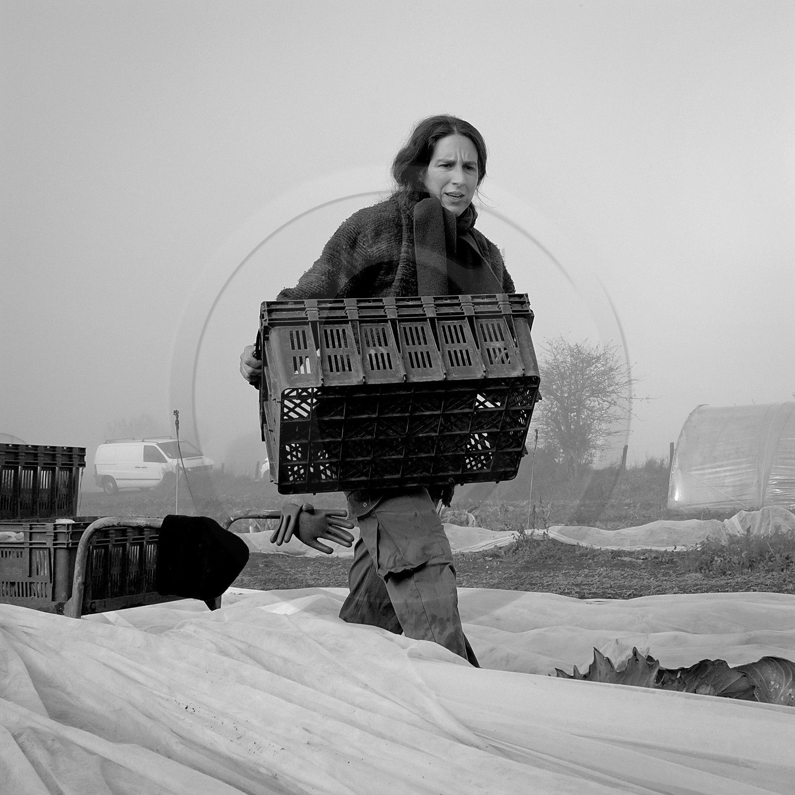 Sophie Jaussaud, maraichère à Ancelle Sophie Jaussaud, maraichère à Ancelle