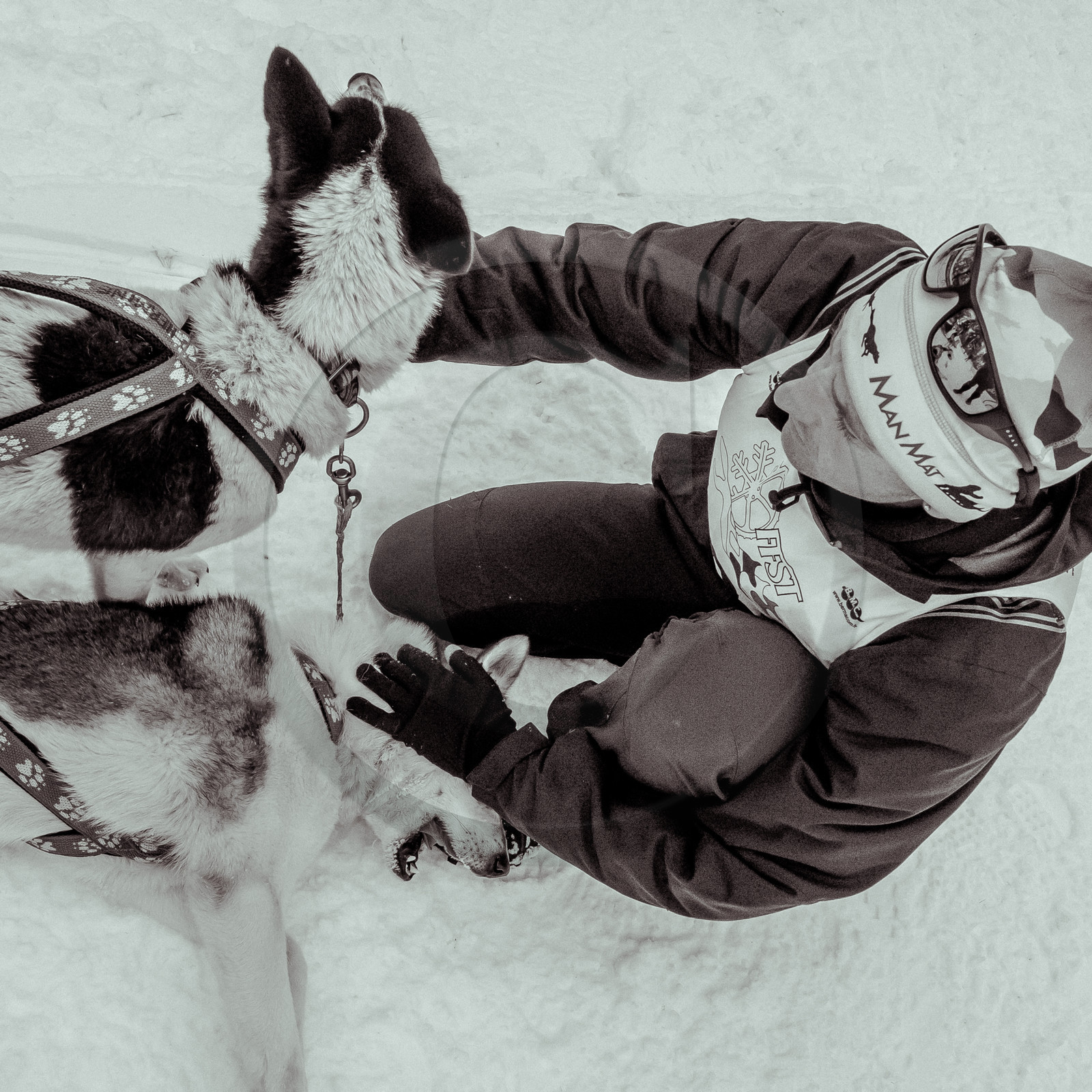 La Valgaude Traineau 2015