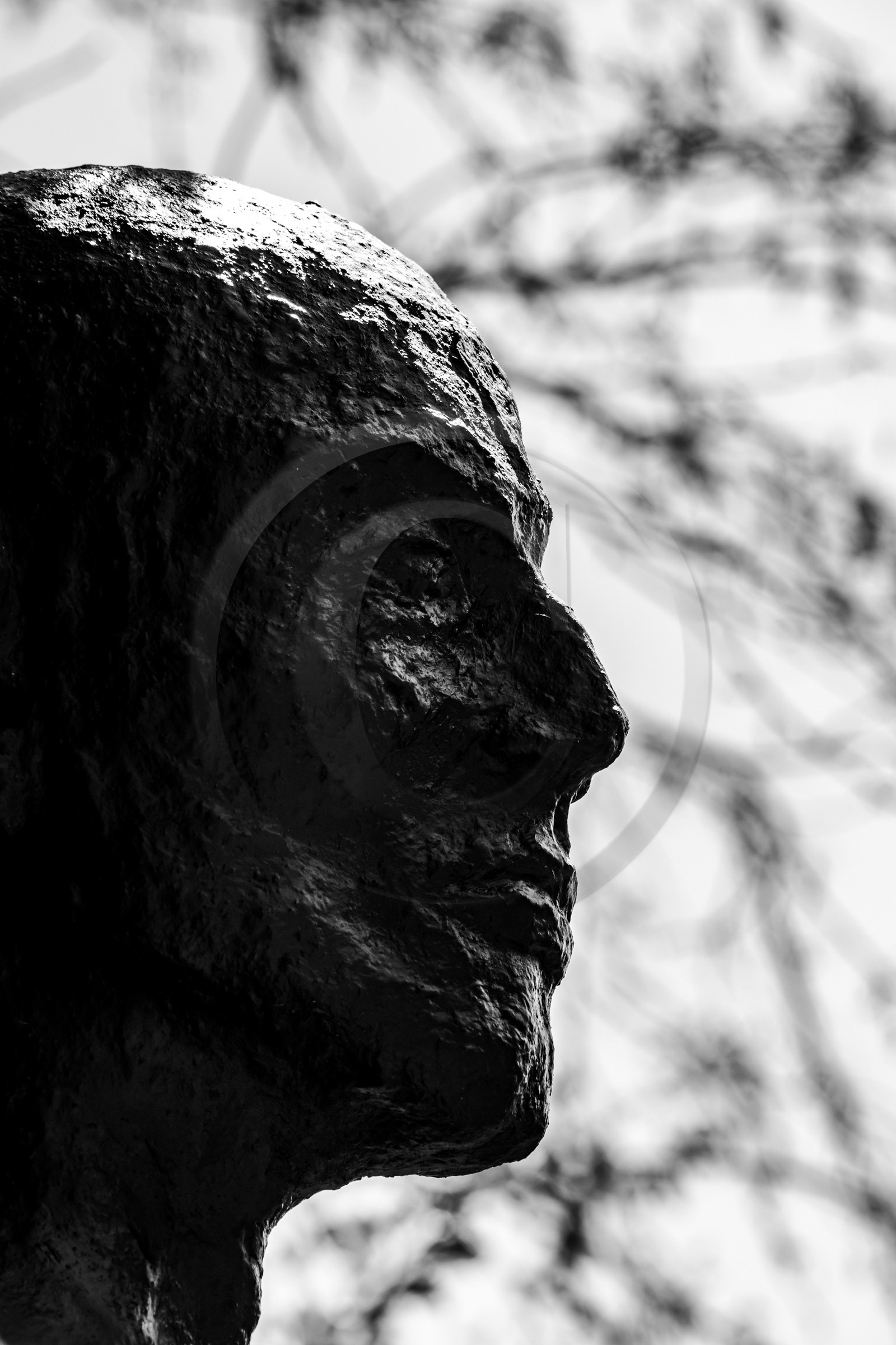 Exposition La forêt d'hommes, une création de Barbara Fougnon, artiste plasticienne