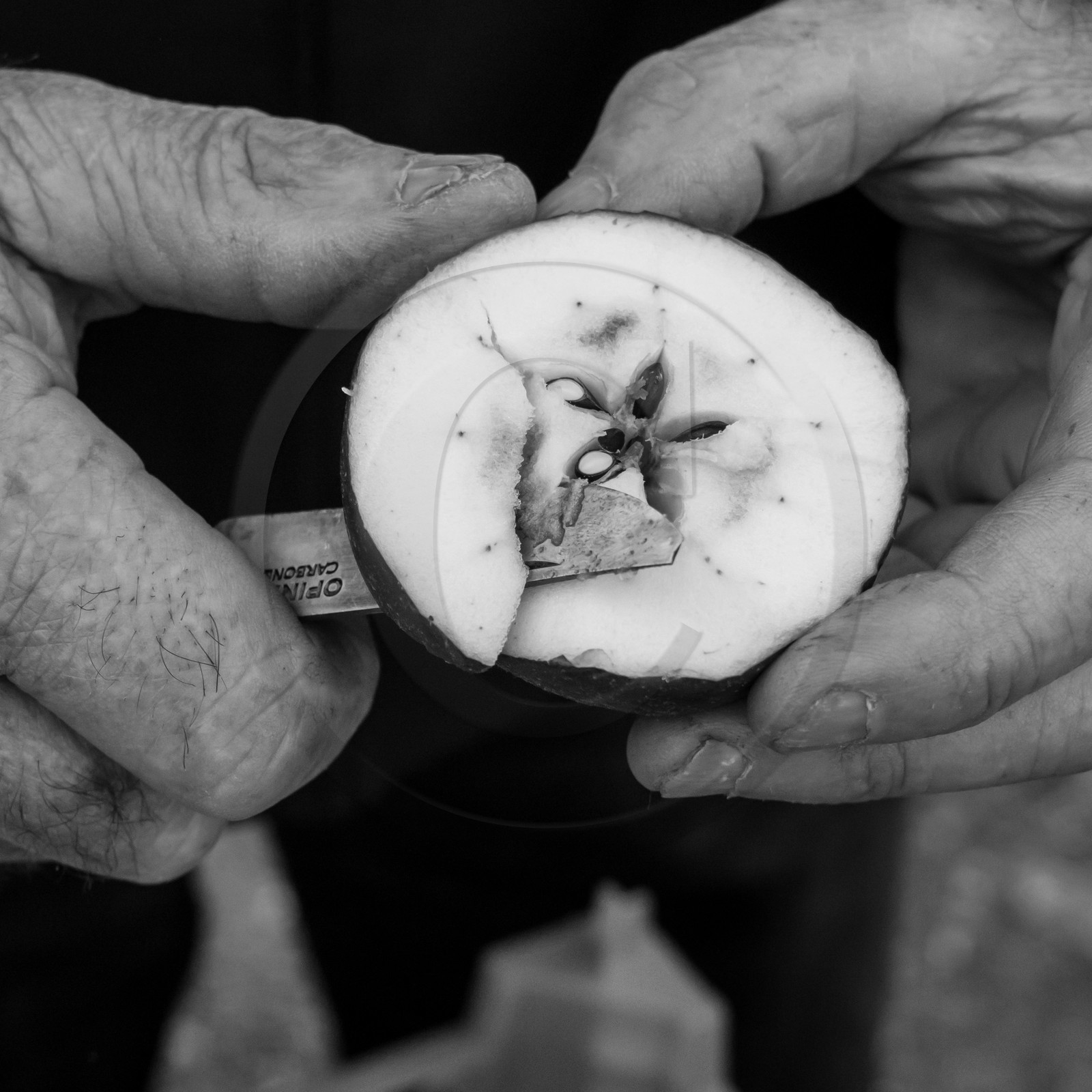 Ramène ta pomme Ramène ta pomme