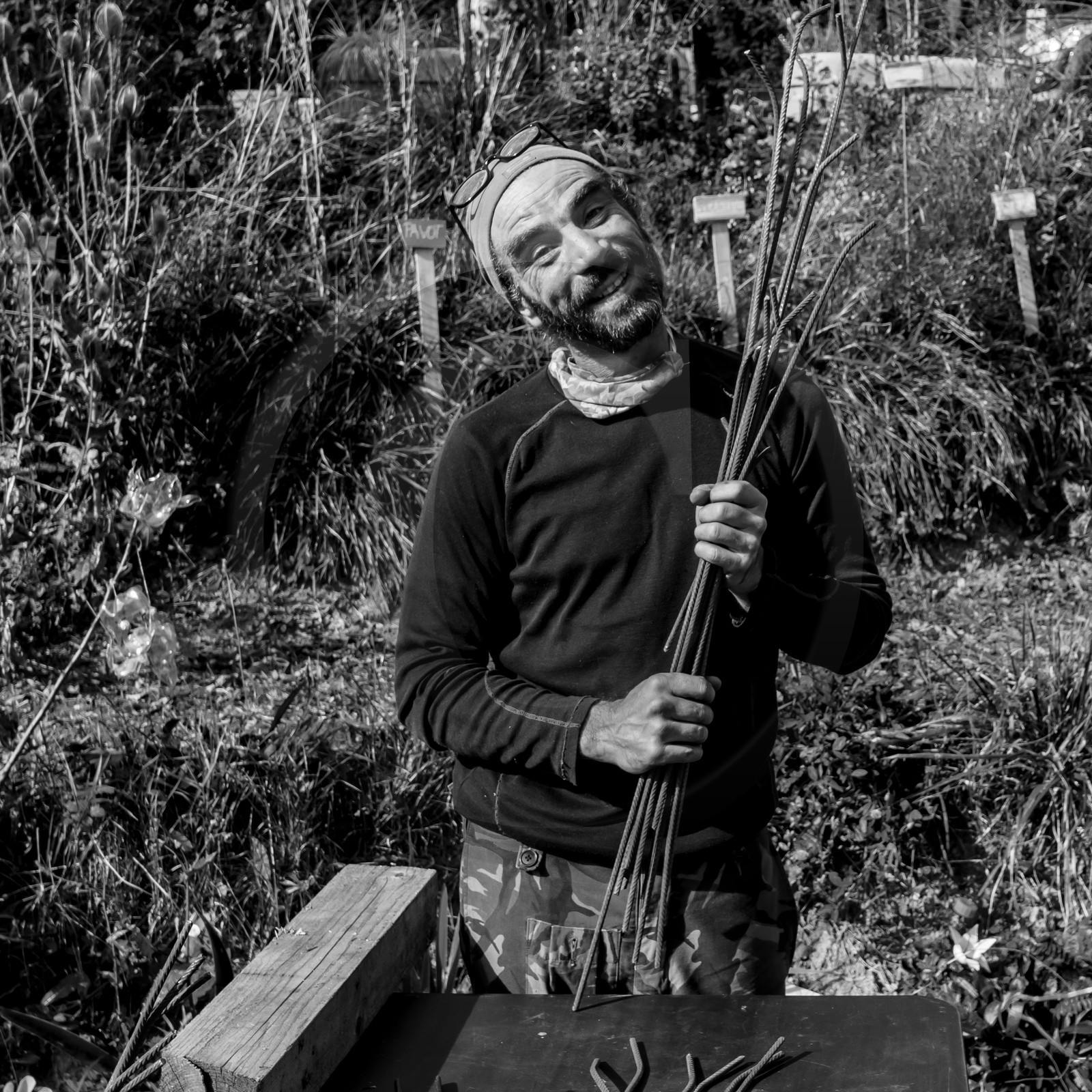 Semis, tournesols et jeux Semis, tournesols et jeux