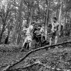 Initiation à la Joelette