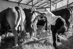 Rencontres paysannes à Saint-Bonnet en Champsaur