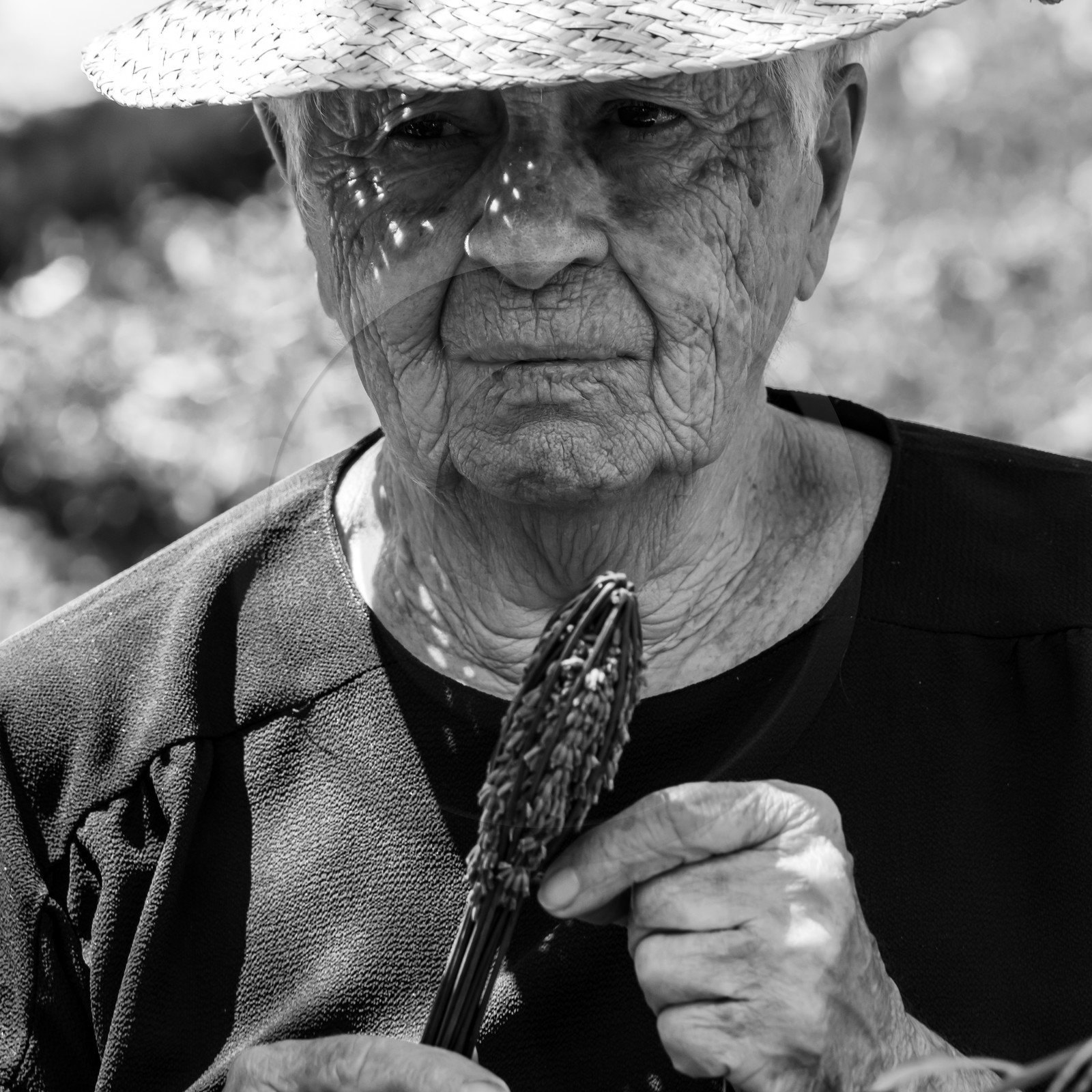 Atelier Fuseaux de lavande