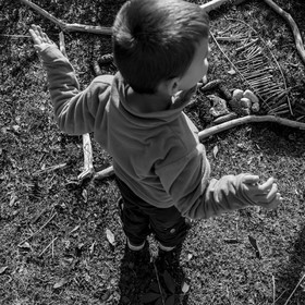 Semis, tournesols et jeux