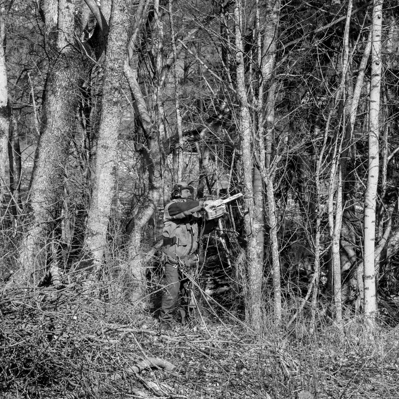 L'Ouort de Bénévent - 08 mars 2017 L'Ouort de Bénévent - 08 mars 2017