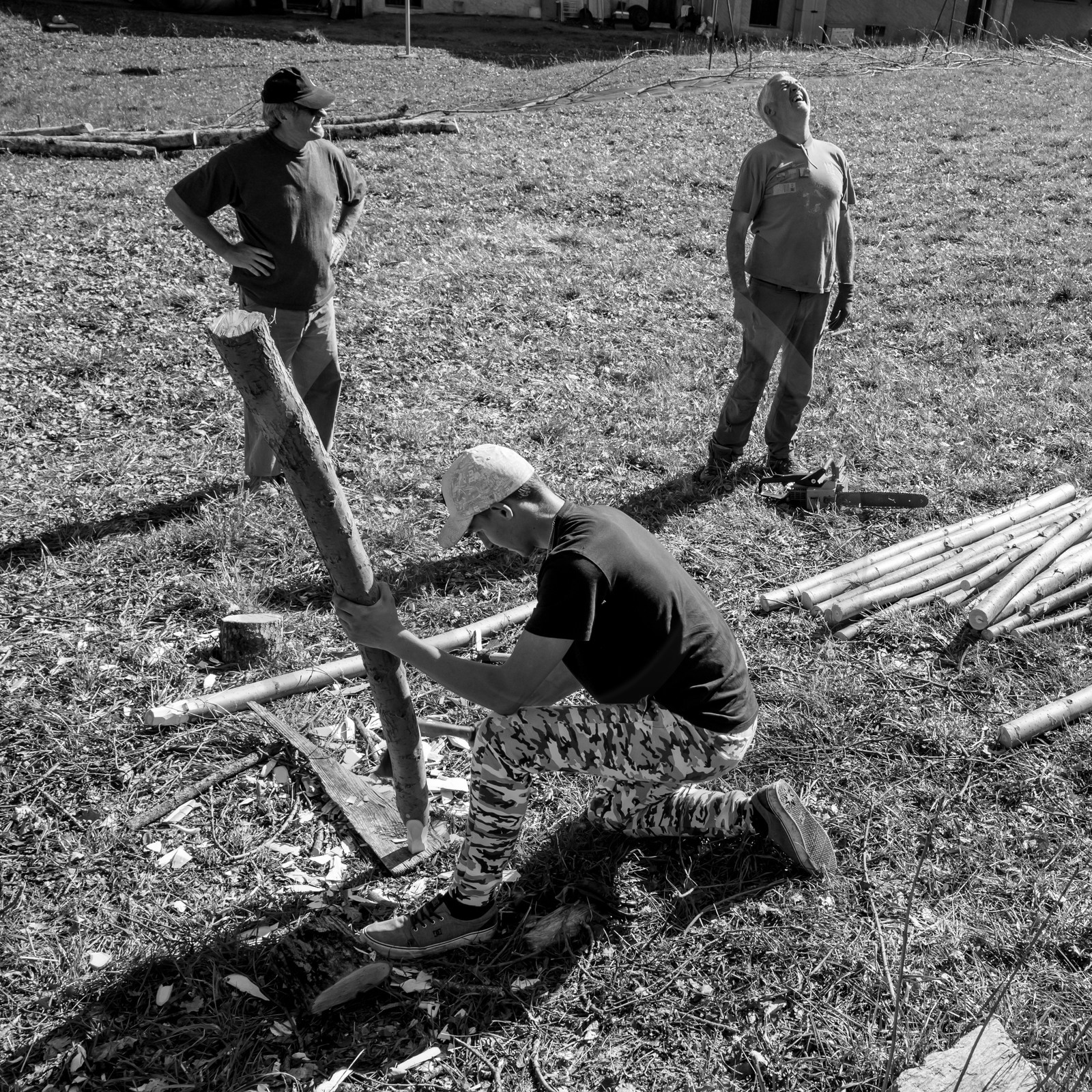 Nettoyage du terrain - Coupe du bois - 29 03 17