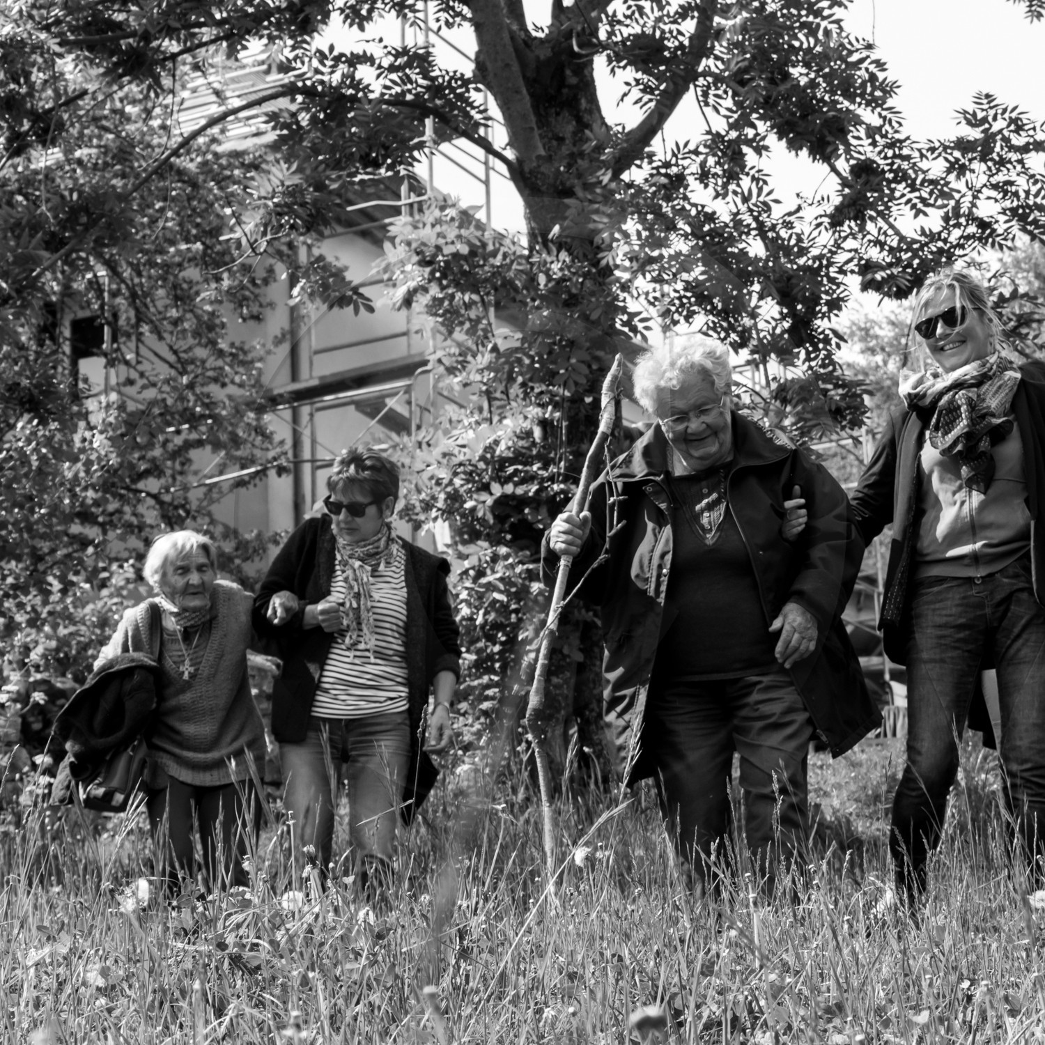 Semis et arrosages Semis et arrosages