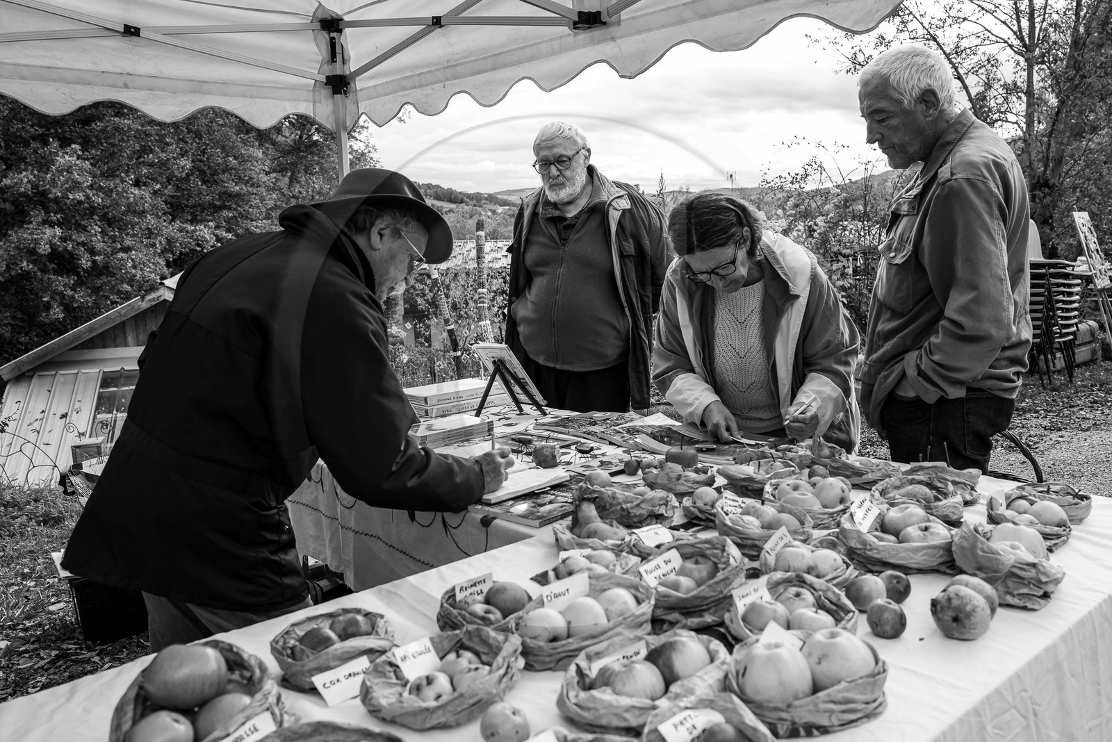 01 novembre 2023 : Des pommes et des soupes